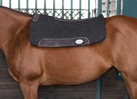 The advantages of using a magic cushion barefoot horse pad over traditional shoes